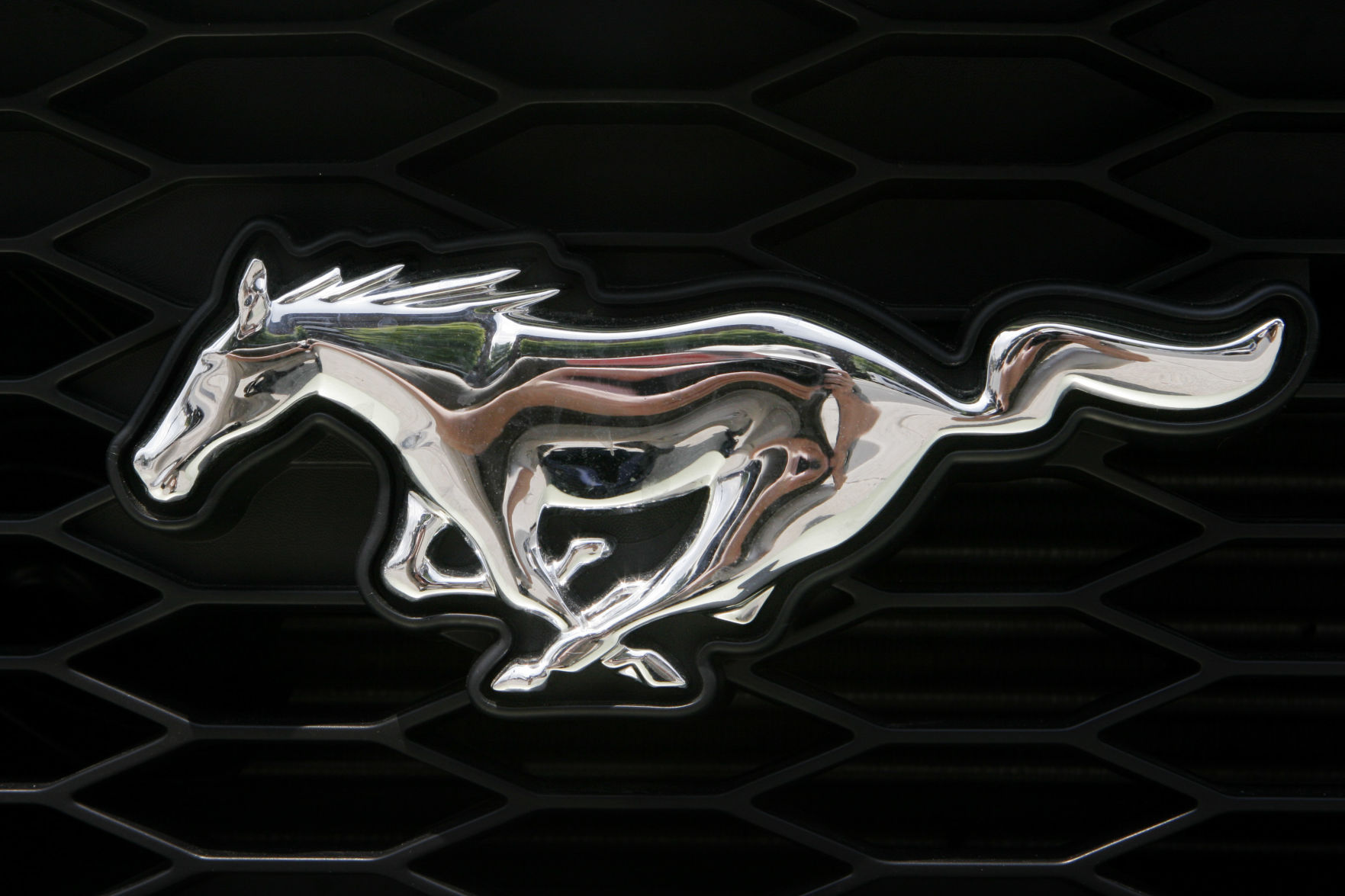 Mustang: Emblem